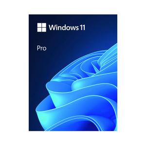Phần mềm Microsoft Win Pro FPP 11 64-bit Eng Intl USB HAV-00163